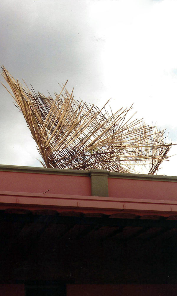 scan0191.jpg