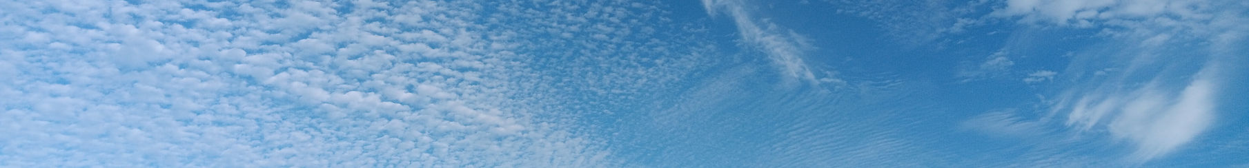 silver arrow beach.jpeg