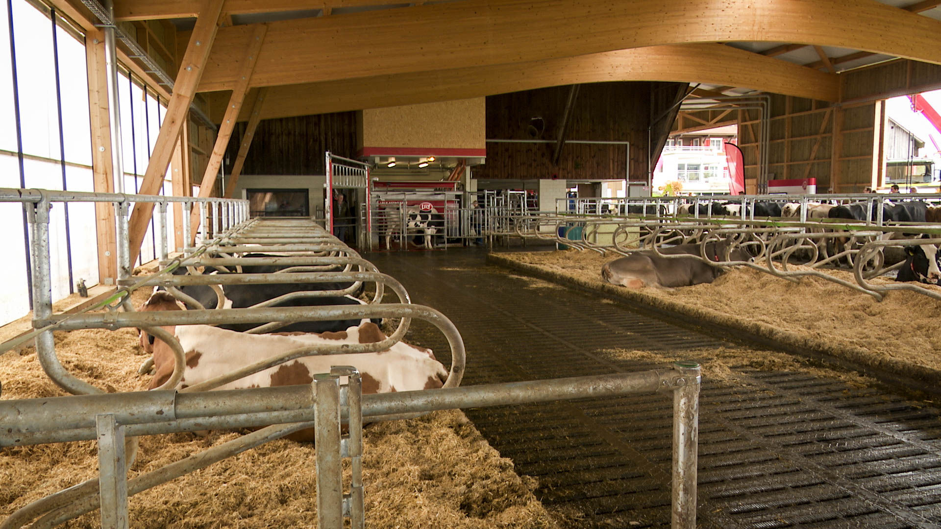 simisFarm_TdoT_Bucher_11_
