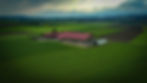simisFarm_TdoT_Bucher_1_