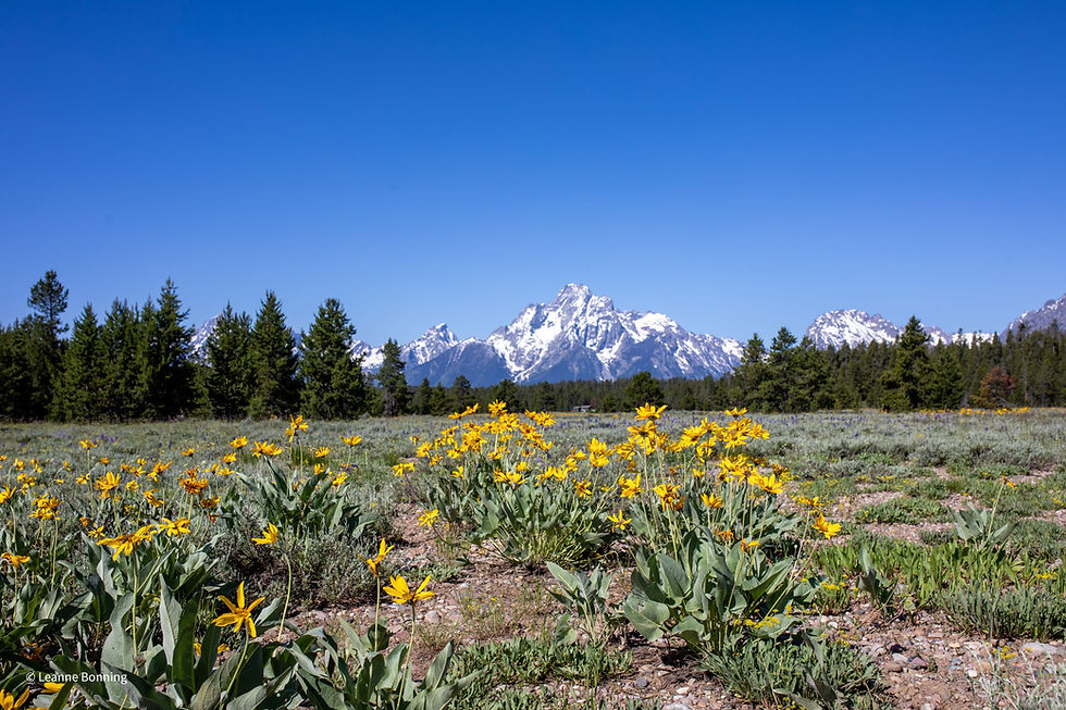 Hope When Its Hard- Habakkuk