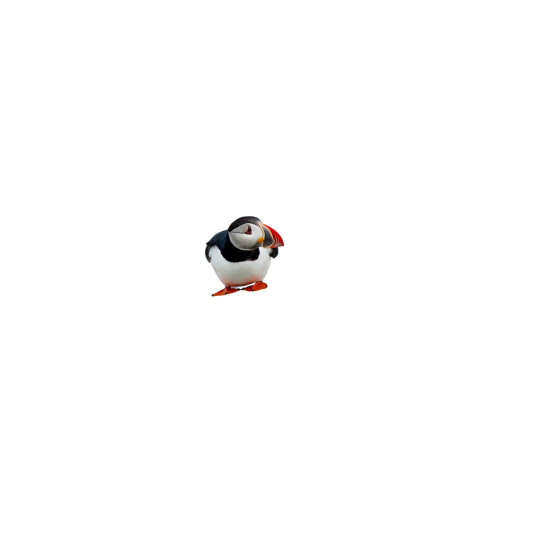 BLUE PLANET investment management (24).png