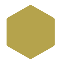 losange2.png
