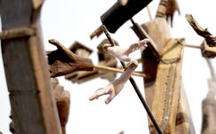 ARBOL-DETALLE-2.jpg