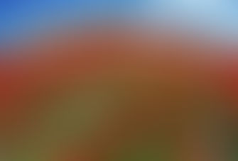 Looking Through the Right Lens