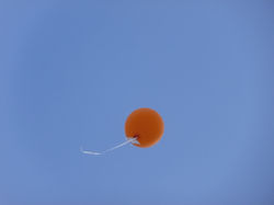PC240541.JPG