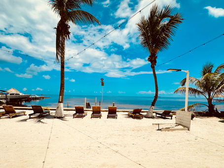 Hazel Adventures Belize is your local partner for custom-built journeys across the country. Founded and led by Belizean dive professionals and eco-education experts