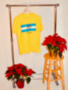 yellow flag.jpeg