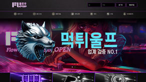 플로우(flow) 먹튀확정 먹튀사이트