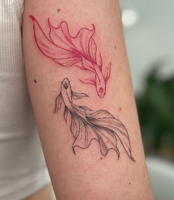 Screenshot 2025-05-26 105933