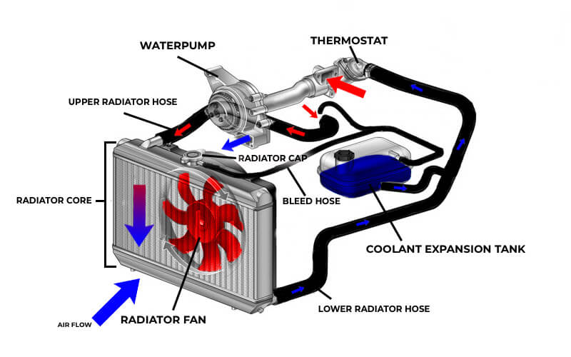 the ambient air flows through the radiator, dissipating heat and lowering the temperature of the coolant.