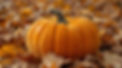 I need an image of a velvet pumpkin during the month of September outside (1).jpg