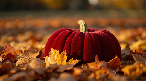 I need an image of a velvet pumpkin during the month of September outside.jpg