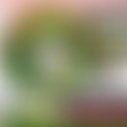 ⚽️Sacolinha Bola de Futebol - Lançamento