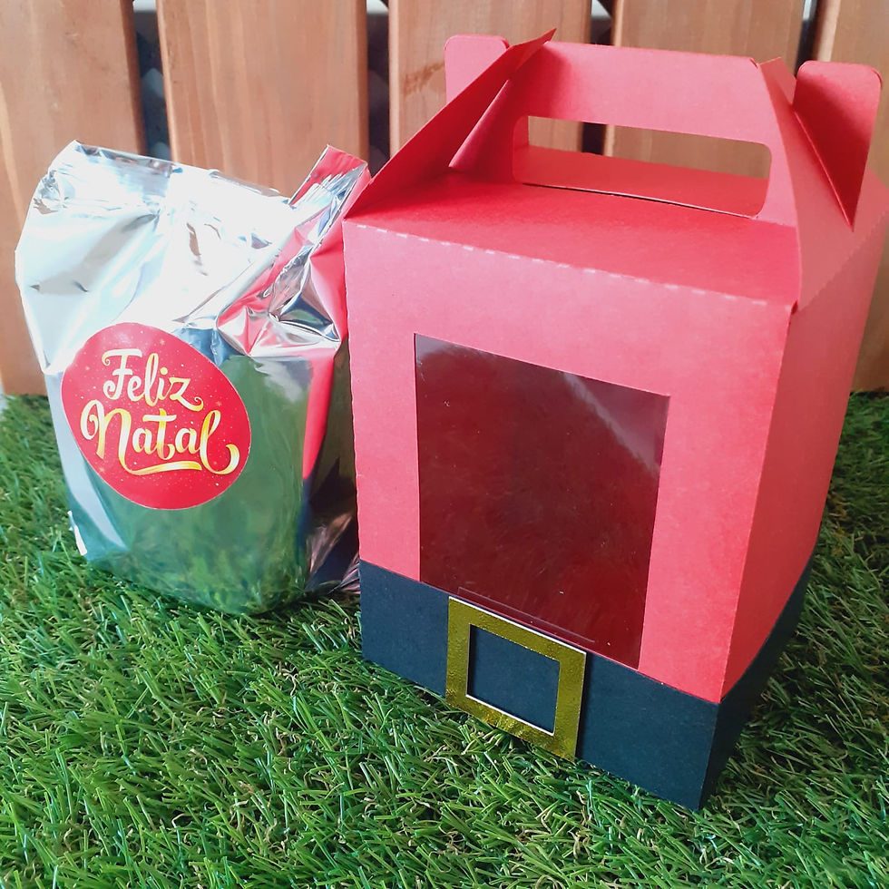 Miniatura: Caixa Mini Panetone 80g