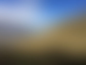 'Add an Engaging Title'