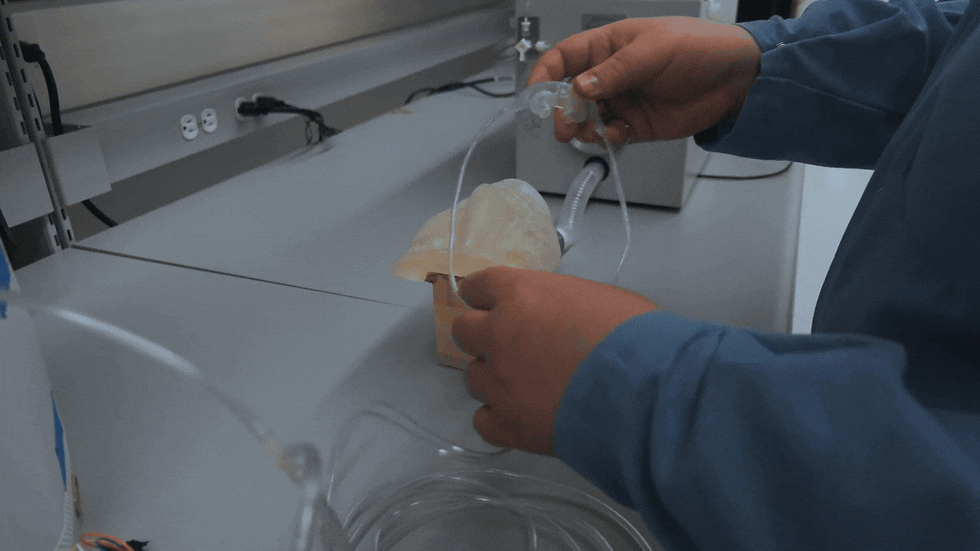 Test Website Backg.gif