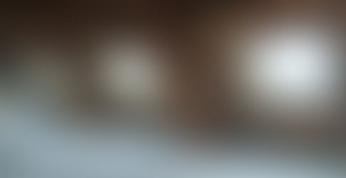 Velux : la clé pour en finir avec les pièces sombres sous les toits