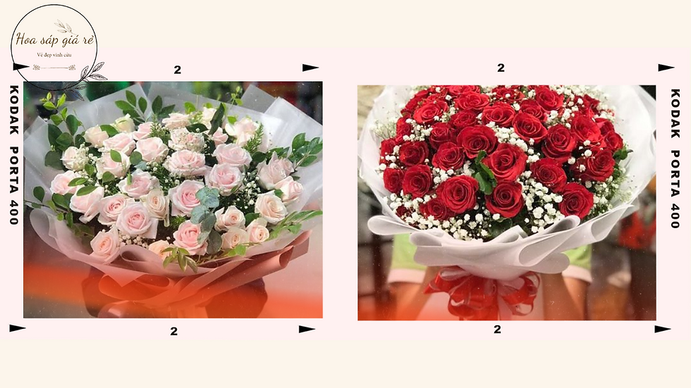 Hoa hồng - món quà nên tặng cho bạn gái vào ngày sinh nhật