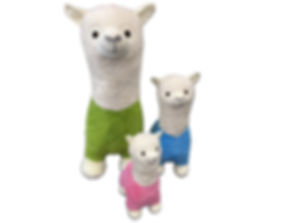 Alpaca 3 colori