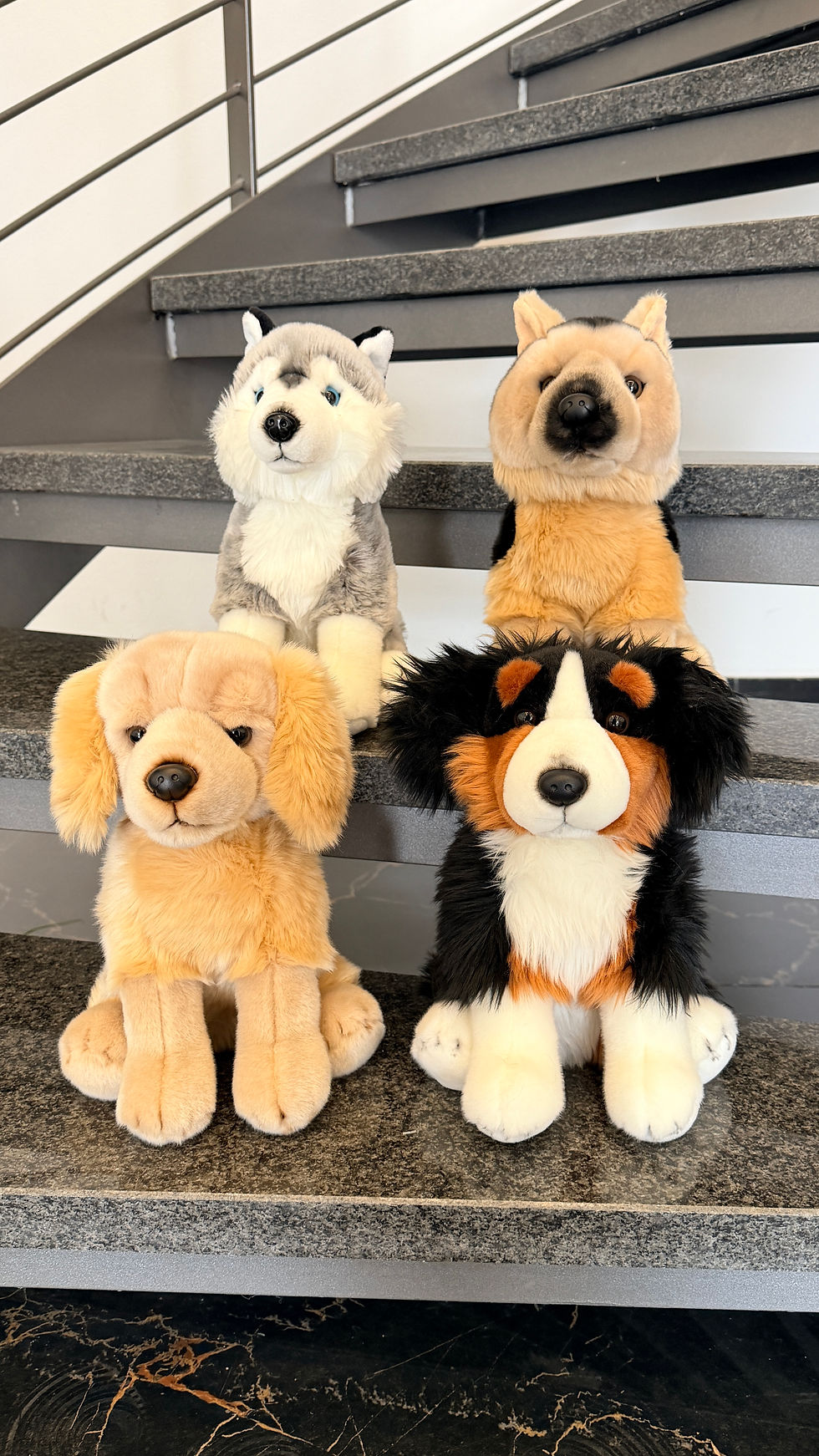 Miniaturbild: Cani 8 modelli Quality