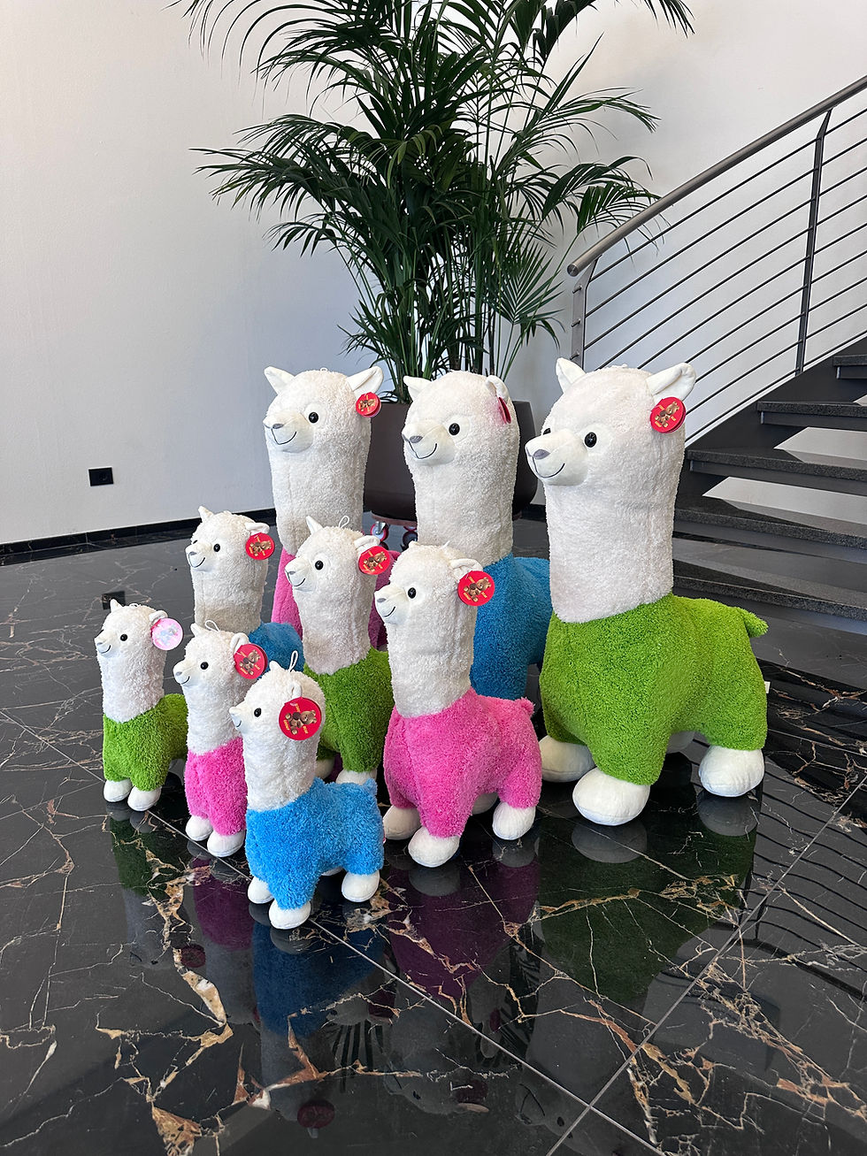 Miniatura: Alpaca 3 colori