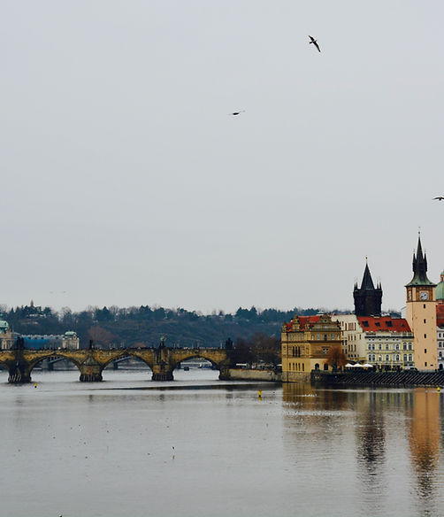 99D5550D-27A1-4A85-98F4-B5F90B9729DF_1_201_a.jpeg