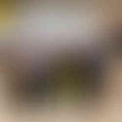 Mexican client completing 3-day bubble tea and waffle training program in Taiwan