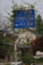Street sign buried in wild grasses.