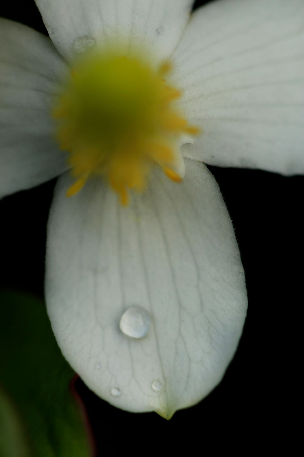 On rainy day.