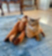 IMG_8178.jpeg