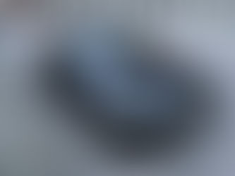 First registered Mark X in BC. 北米第一号?マークX。