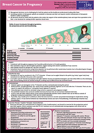 Previews of the PDF download