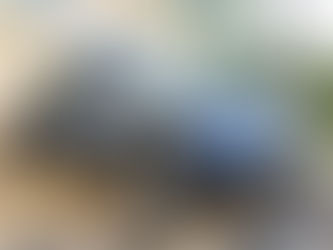 Patrulhamento da GCM resulta na captura de procurado em Jarinu