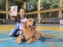 Com ações educativas e foco na conscientização, Jundiaí intensifica ações de bem-estar animal com a campanha Abril Laranja