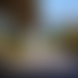 Nova concessão do transporte público prevê 244 ônibus e frota mais moderna em Jundiaí