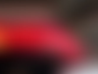 Pitbulls são baleados em Campo Limpo Paulista; um morre e outro é socorrido