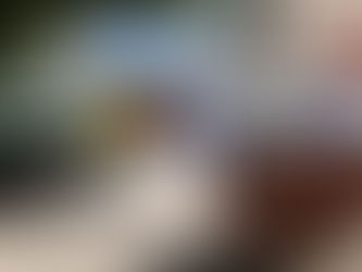 Prefeitura de Jundiaí mantém 2 mil contêineres para descarte de lixo orgânico e reforça a importância do descarte correto