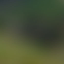 Nova lei em Jundiaí garante mais apoio e estrutura ao produtor rural