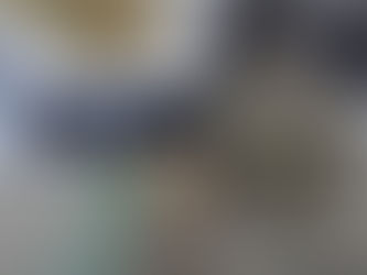 ‘Casa bomba’ é descoberta em Atibaia com mais de 50 kg de maconha