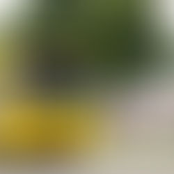 Jundiaí conta com várias linhas de ônibus para frequentar os parques públicos neste feriado