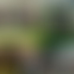 Sicredi Fronteiras amplia presença no estado de São Paulo e chega a 47 agências