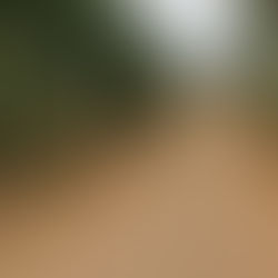 Estrada Velha de Bragança recebe ação de limpeza e ordenamento urbano