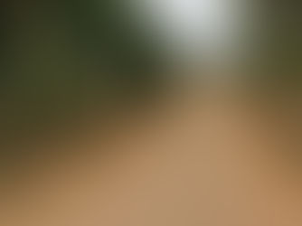 Estrada Velha de Bragança recebe ação de limpeza e ordenamento urbano