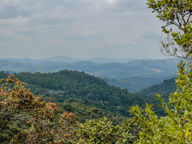 Serra do Japi ganha novas ações de proteção, tecnologia e educação ambiental