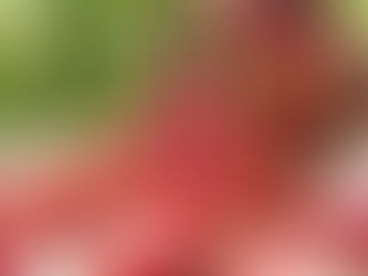 “42ª Festa do Morango de Jarinu e Atibaia” começa no próximo final de semana