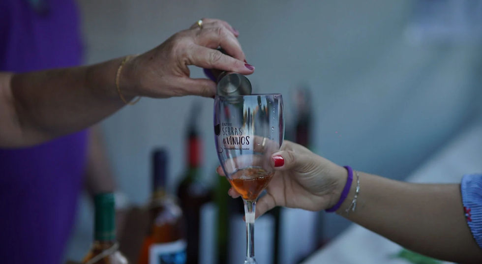 Visitantes poderão prestigiar as 13 vinícolas da Rota Turística do Vinho participantes