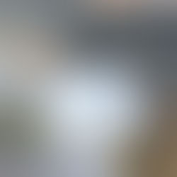 Cuidados com escorpião devem ser tomados o ano todo