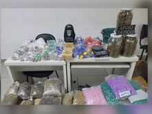 Guarda Municipal apreende mais de 10 kg de drogas em apartamento no Jardim Tamoio