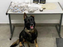 Equipes do Canil e ROMU, da GCM, apreendem grande quantidade de drogas em área de mata no Caetetuba